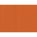 dollaro529 