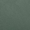 Green Verdino кожзам 