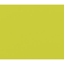 Зеленый лайм 34 (пленка) 