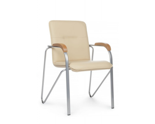Стул для посетителя Самба с подлокотниками SMB-01-03 (RV Chair)