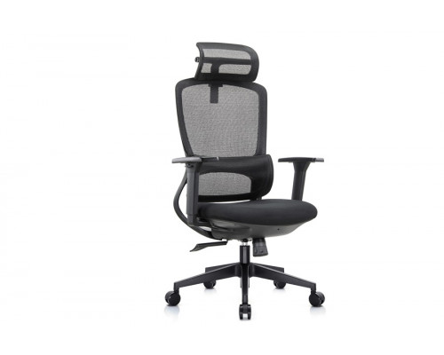 Кресло руководителя Skill RCH 6245A/6245AX-HS | Скилл RCH 6245A/6245AX-HS (RV Chair) - ткань/сетка