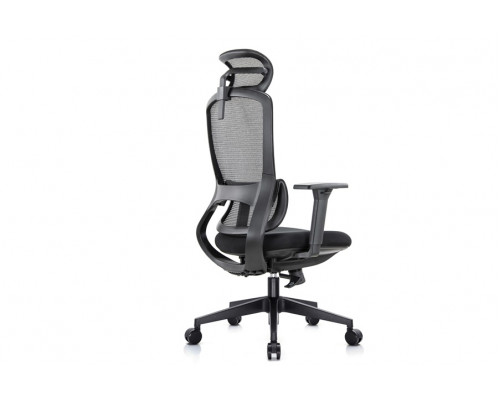 Кресло руководителя Skill RCH 6245A/6245AX-HS | Скилл RCH 6245A/6245AX-HS (RV Chair) - ткань/сетка