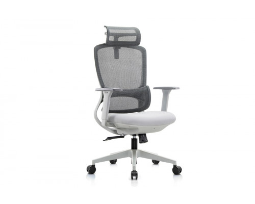 Кресло руководителя Skill RCH 6245A/6245AX-HS | Скилл RCH 6245A/6245AX-HS (RV Chair) - ткань/сетка