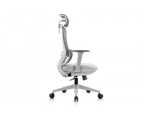Кресло руководителя Skill RCH 6245A/6245AX-HS | Скилл RCH 6245A/6245AX-HS (RV Chair) - ткань/сетка