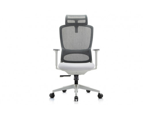 Кресло руководителя Skill RCH 6245A/6245AX-HS | Скилл RCH 6245A/6245AX-HS (RV Chair) - ткань/сетка